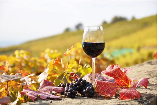 Fall Favorites - Wines for the changing season October 11th at 7:00pm